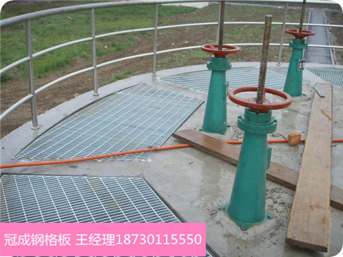 x2_1.1395047549_800_600_127768 x2_1.1395047549_800_600_127768